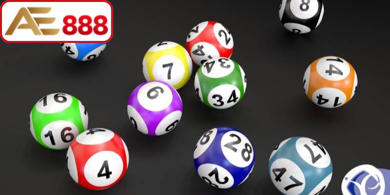 Cách nuôi lô gan hiệu quả từ chuyên gia
