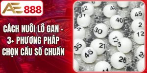 Cách Nuôi Lô Gan - 3+ Phương Pháp Chọn Cầu Số Chuẩn