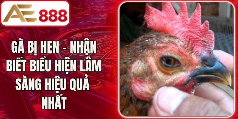Gà Bị Hen – Nhận Biết Biểu Hiện Lâm Sàng Hiệu Quả Nhất