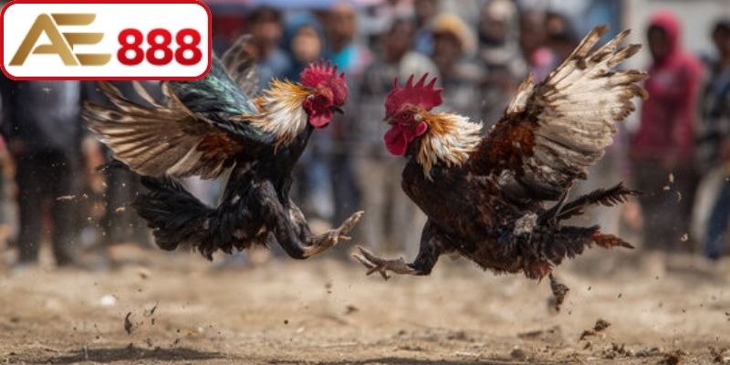 Kinh nghiệm soi kèo thực chiến anh em cần biết