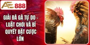 Giải Đá Gà Tự Do - Luật Chơi Và Bí Quyết Đặt Cược Lớn