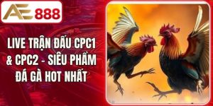 Live Trận Đấu CPC1 & CPC2 - Siêu Phẩm Đá Gà Hot Nhất