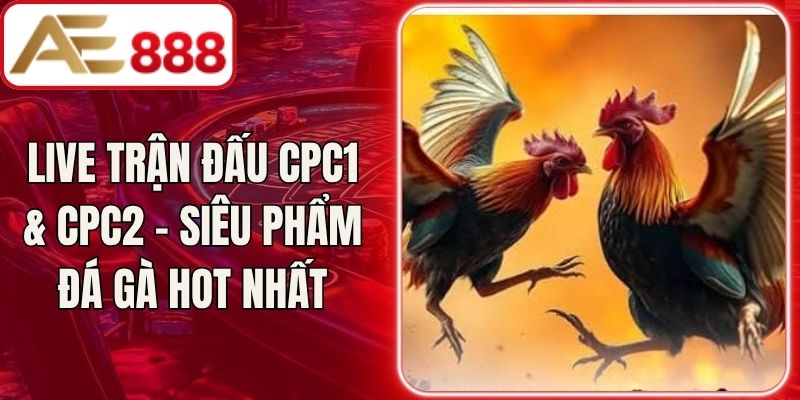 Live Trận Đấu CPC1 & CPC2 - Siêu Phẩm Đá Gà Hot Nhất