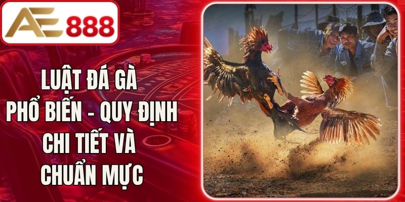 Luật Đá Gà Phổ Biến – Quy Định Chi Tiết Và Chuẩn Mực